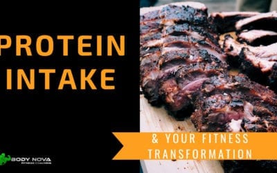 Protein Intake & Your Fitness Transformation